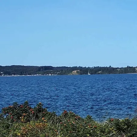 5 Person In Aabenraa-by Traum
